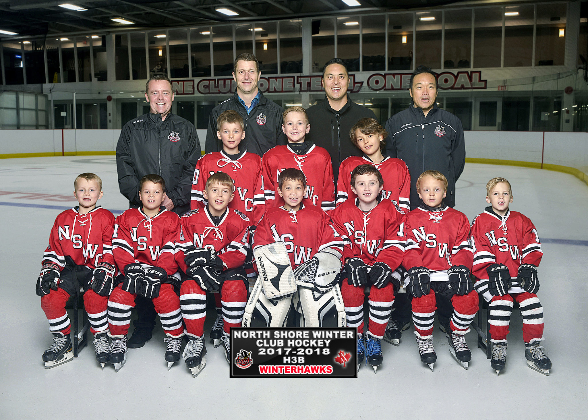 Minor Hockey North Shore Winter Club